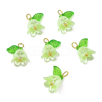 Acrylic Pendants LS-OACR-D012-01E-1
