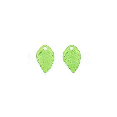 Transparent Acrylic Charms X-TACR-T012-04-1