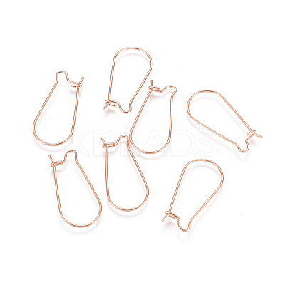 304 Stainless Steel Hoop Earring Findings STAS-E484-66B-RG-1