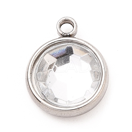 304 Stainless Steel Charms LS-STAS-I165-04A-P-09-1