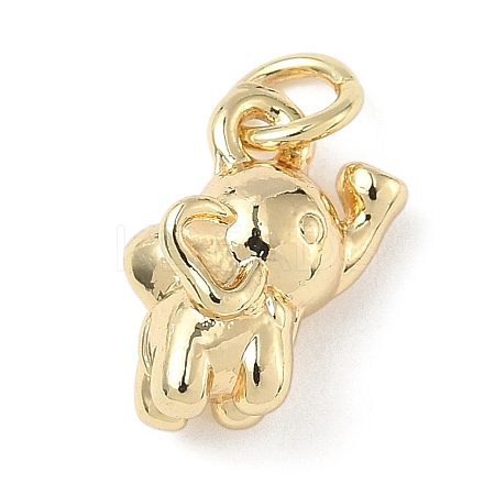Brass Charms ZIRC-I356-04G-01-1