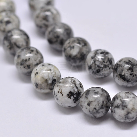 Natural Sesame Jasper/Kiwi Jasper Beads Strands X-G-F351-10mm-1