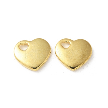 304 Stainless Steel Pendants STAS-I330-031G-1