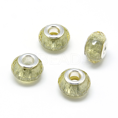 Resin European Beads LS-RPDL-S009-10-1