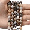 Natural Bamboo Leaf Agate Beads Strands G-Z119-A27-03-2