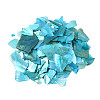 Natural Abalone/Paua Shell Mica Fragment MRMJ-N026-001-A05-2