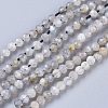 Natural Labradorite Beads Strands X-G-R475-025A-1