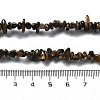 Natural Supper 7 Rutilated Quartz Chip Beaded Necklaces for Men Women NJEW-G159-01X-5