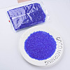 Transparent Glass Bugle Beads SEED-N005-001-C03-2