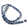 Natural Blue Spot Jasper Beads Strands G-M420-D08-01-3
