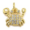 Marine Theme Rack Plating Brass Micro Pave Cubic Zirconia Pendants KK-I718-28G-02-1