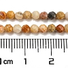 Natural Crazy Lace Agate Beads Strands G-A129-3mm-17-3