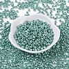 8/0 Glass Seed Beads X1-SEED-A017-3mm-1119-1