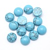Synthetic Turquoise Cabochons G-P393-R13-8mm-1