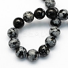 Natural Snowflake Obsidian Round Beads Strands G-S172-10mm-2