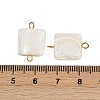 Natural Shell Square Connector Charms STAS-D378-27G-3