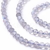 Natural Labradorite Beads Strands G-L581A-002-2