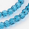 Transparent Glass Bead Strands GLAA-G013-10mm-51-3