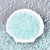 Frosted Glass Seed Beads SEED-N012-01C-2