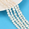 Natural Cultured Freshwater Pearl Beads Strands PEAR-P064-19G-04A-1