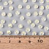FGB Grade A Transparent Glass Seed Beads SEED-Q040-03A-10-6