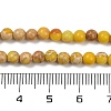 Dyed Natural Regalite/Imperial Jasper/Sea Sediment Jasper Beads Strands G-B124-C04-04-3