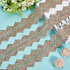 4.8~5 Yards Sparkle Polyester Lace Trim Ribbon with Plastic Paillettes OCOR-CY0001-14A-5