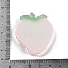 Luminous Resin Fruit Slice Display Decoration DJEW-B014-04-4