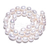 Natural Cultured Freshwater Pearl Beads Strands PEAR-N014-08F-4