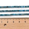 Natural Apatite Beads Strands G-G155-A01-01-5