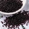MIYUKI Round Rocailles Beads X-SEED-G008-RR0153-1