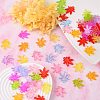 Transparent Acrylic Pendants PL711Y-2