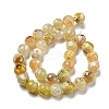 Faceted Natural Fire Crackle Agate Beads Strands G-F447-12mm-H01-3