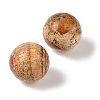 Natural Picture Jasper No Hole Sphere Beads G-K353-04D-15-2