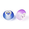 Two Tone Resin European Beads RPDL-Q011-M2-01-2