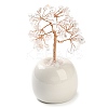 Natural Quartz Crystal Chips Tree of Life Decorations DJEW-C016-02A-1