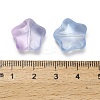 Transparent Glass Beads GLAA-B029-01A-3