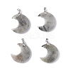 Natural Labradorite Pendants G-Z022-04L-1