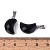 Natural Obsidian Pendants G-N349-02A-P-3