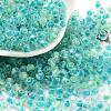 Glass Seed Beads SEED-A032-01M-1