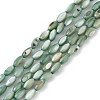 Natural Freshwater Shell Dyed Beads Strands X-SHEL-M018-13-11-1