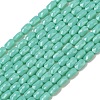 Opaque Glass Beads Strands GLAA-Z018-D21-1