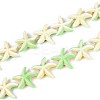 Synthetic Turquoise Dyed Beads Strands G-P507-04T-1