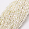 Natural White Shell Beads X-G-N0190-11-2mm-1