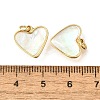 Natural White Shell & Epoxy Resin Charms KK-E794-02G-06-3
