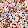 Glass Seed Beads SEED-K010-03B-2