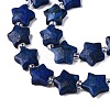 Dyed Natural Lapis Lazuli Dyed Beads Strands G-T138-190-3