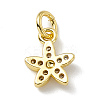 Brass Micro Pave Cubic Zirconia Charms ZIRC-F132-99G-2