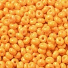 Baking Paint Glass Seed Beads X1-SEED-B001-02A-17-3