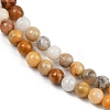 Natural Crazy Lace Agate Round Bead Strands G-P075-16-4mm-3